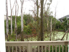 unit backs to nature preserve