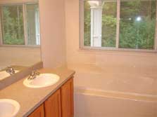 master bath with soaker tub & separate shower