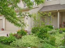 Meadow Grove