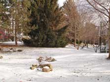 view from patio