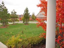 view from front porch