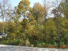 deck views to woods